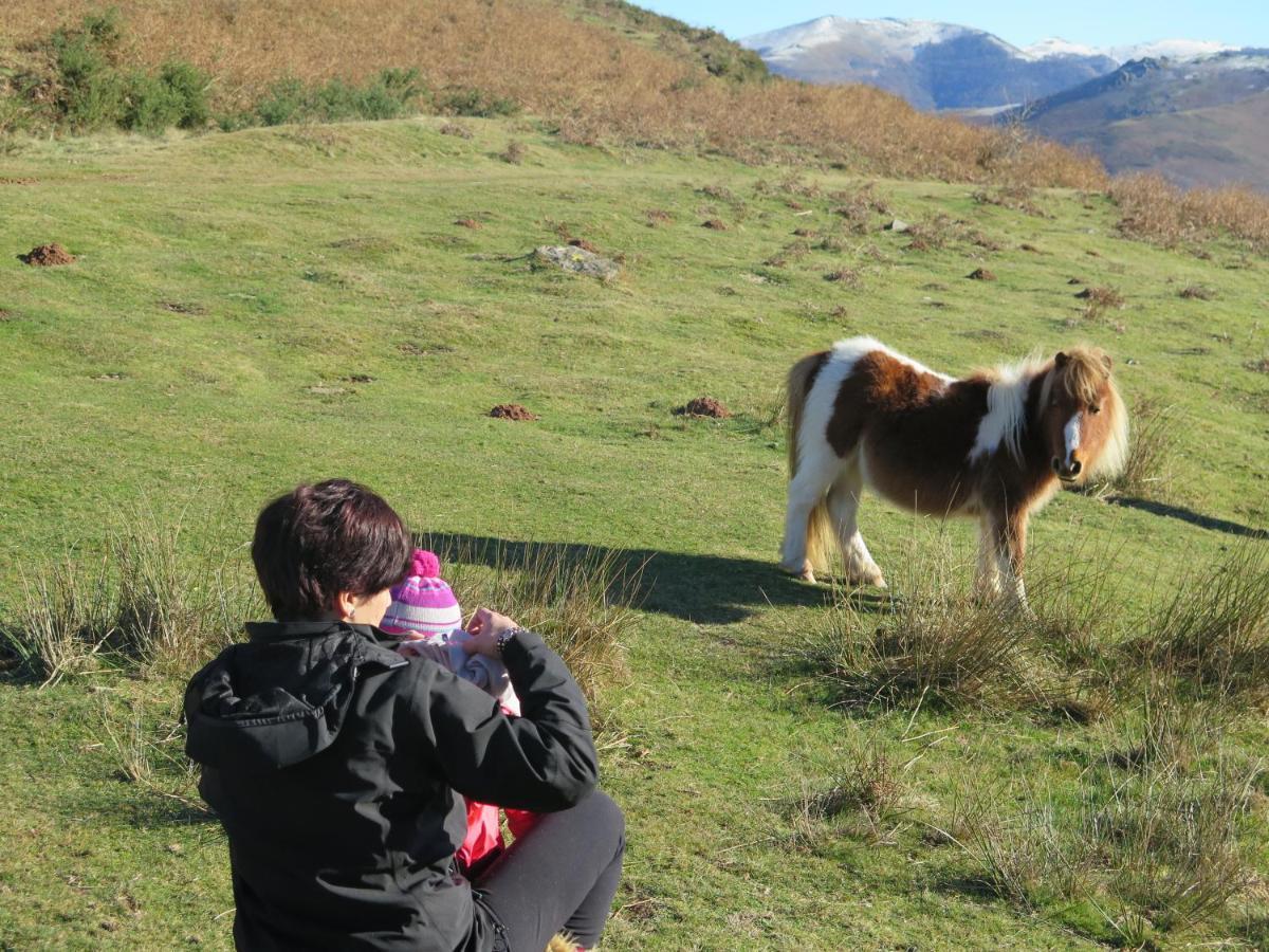 Casa Rural Urruska Elizondo Kültér fotó
