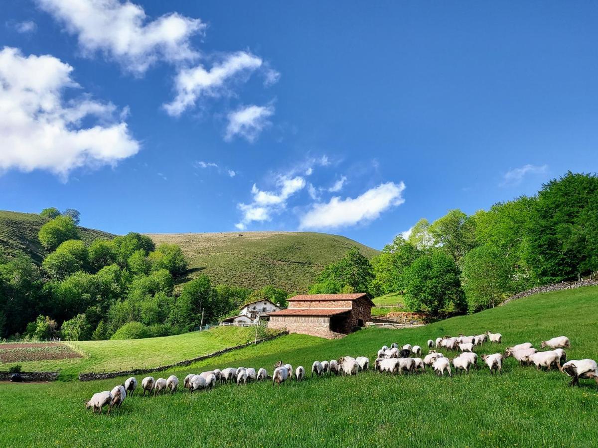 Casa Rural Urruska Elizondo Kültér fotó