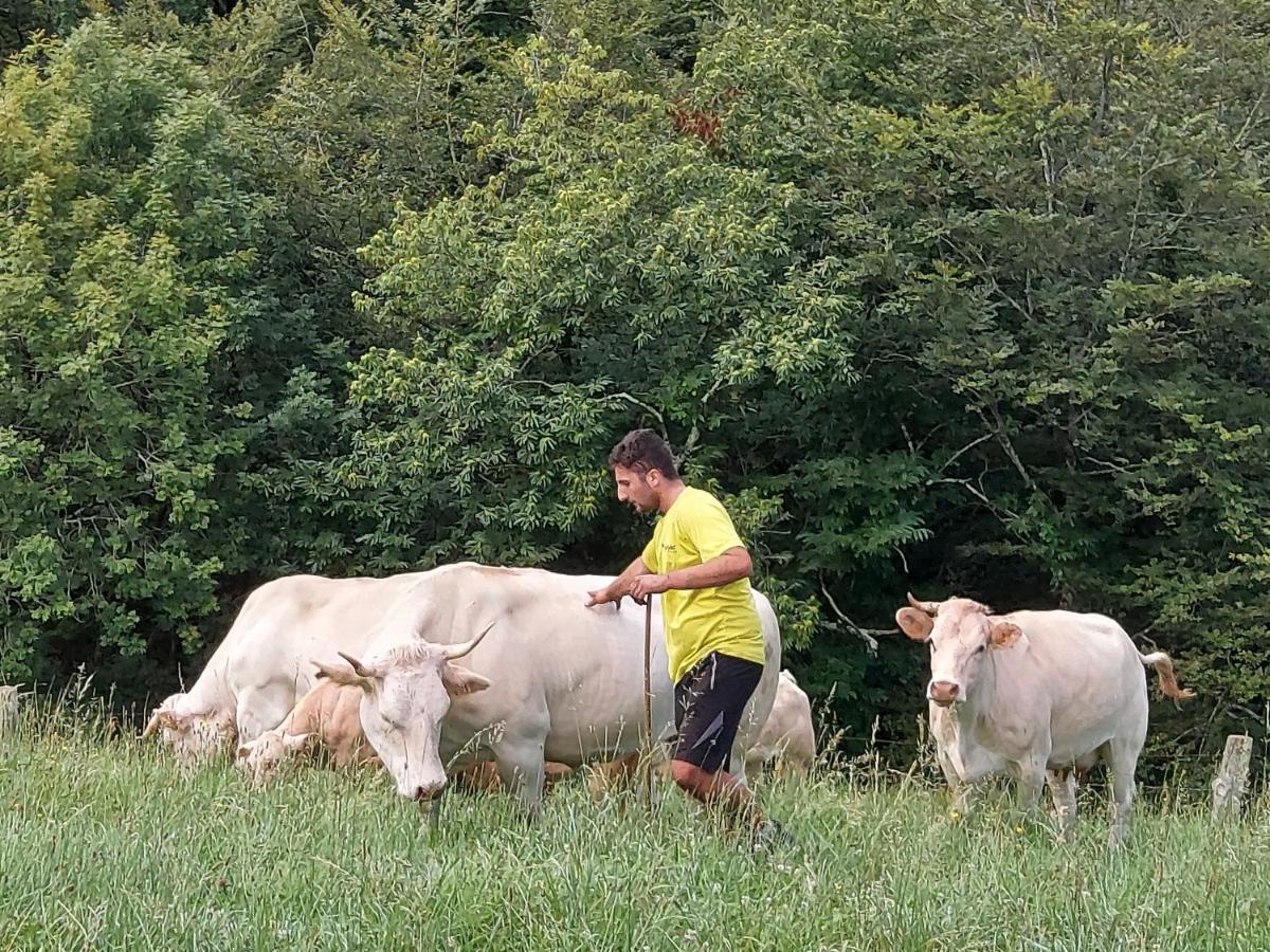 Casa Rural Urruska Elizondo Kültér fotó