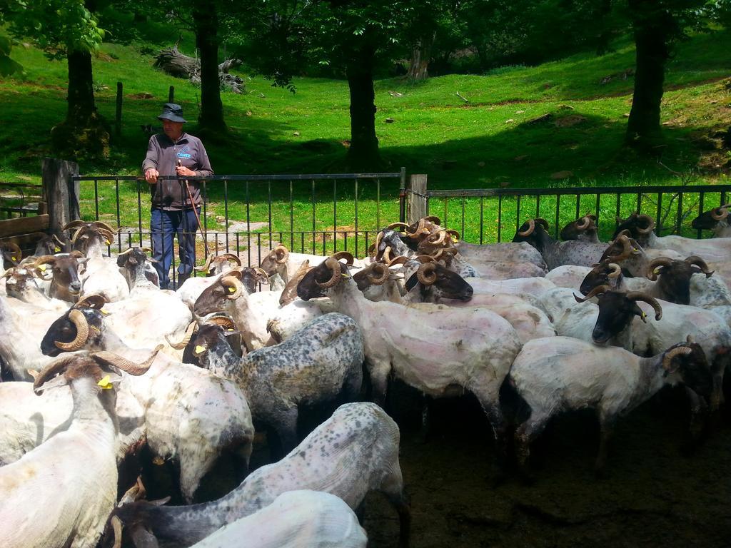 Casa Rural Urruska Elizondo Kültér fotó