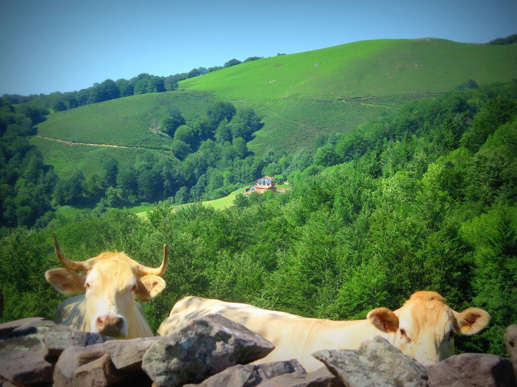 Casa Rural Urruska Elizondo Kültér fotó