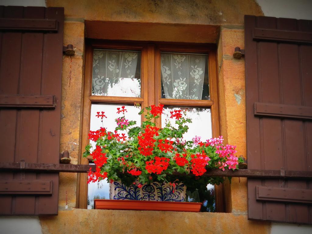 Casa Rural Urruska Elizondo Kültér fotó