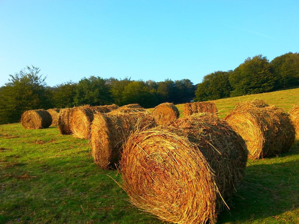 Casa Rural Urruska Elizondo Kültér fotó