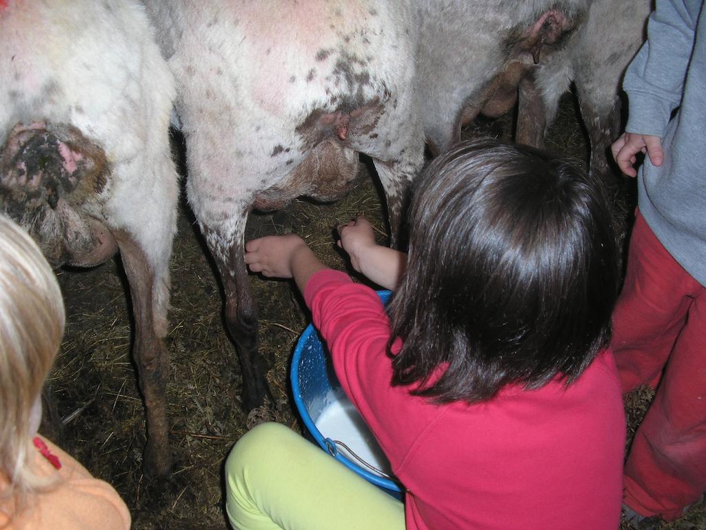 Casa Rural Urruska Elizondo Kültér fotó