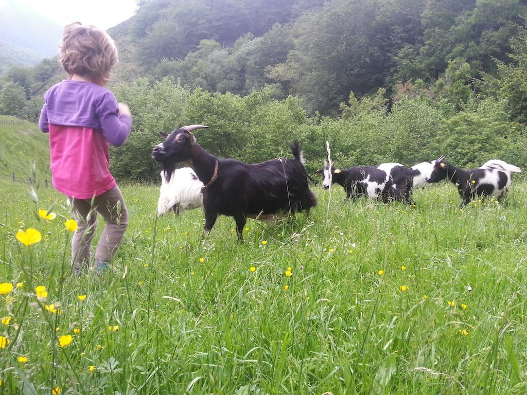 Casa Rural Urruska Elizondo Kültér fotó