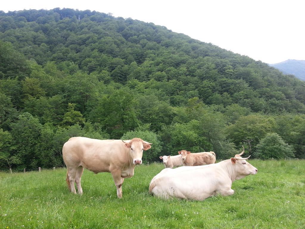 Casa Rural Urruska Elizondo Kültér fotó