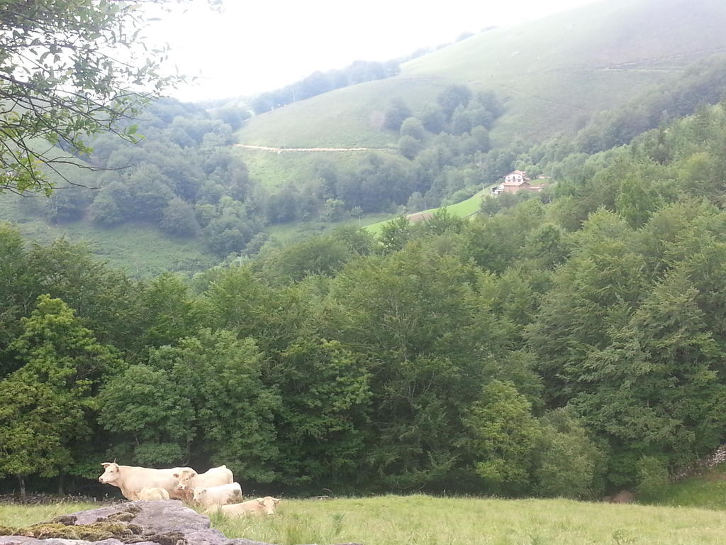 Casa Rural Urruska Elizondo Kültér fotó