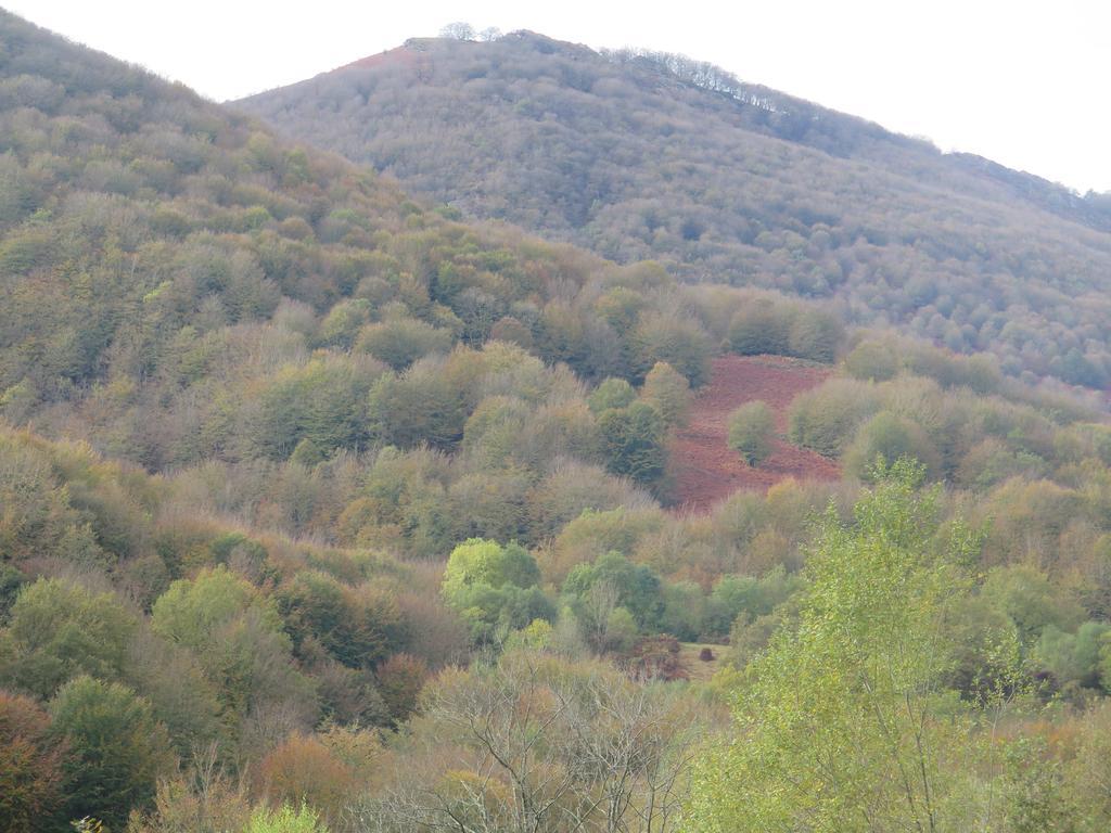 Casa Rural Urruska Elizondo Kültér fotó