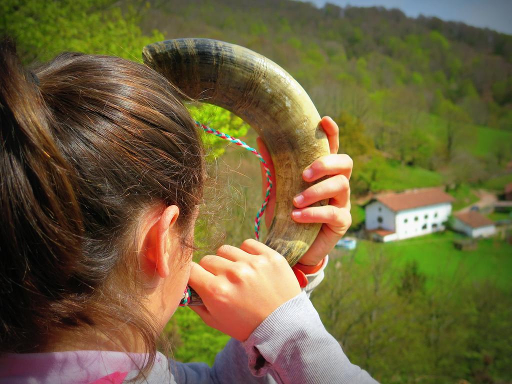 Casa Rural Urruska Elizondo Kültér fotó