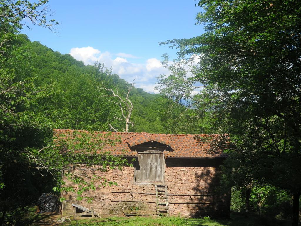 Casa Rural Urruska Elizondo Kültér fotó