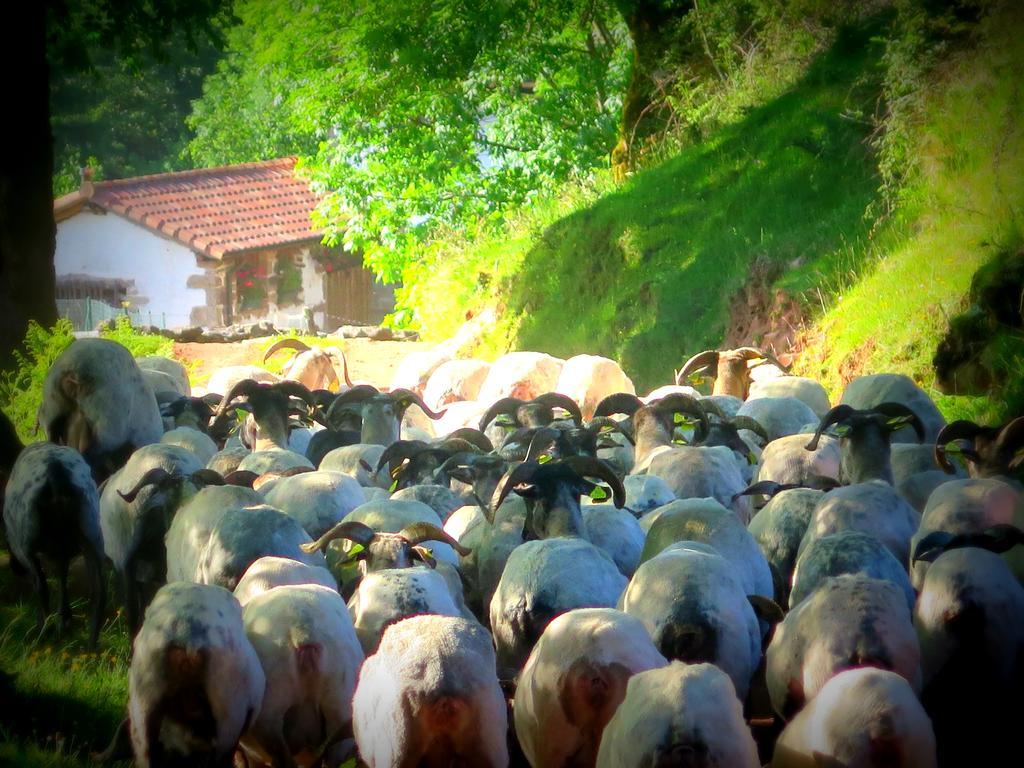Casa Rural Urruska Elizondo Kültér fotó